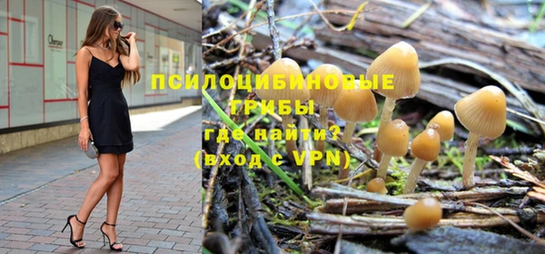 тгк Абаза