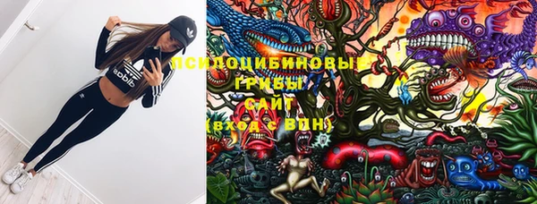 тгк Абаза