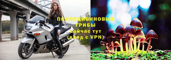таблы Алексеевка